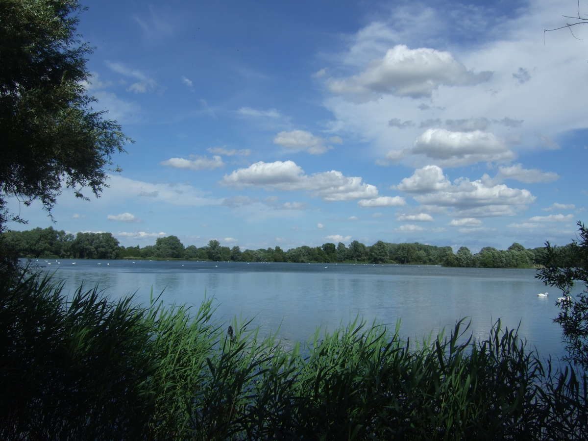 Fen Drayton Lakes