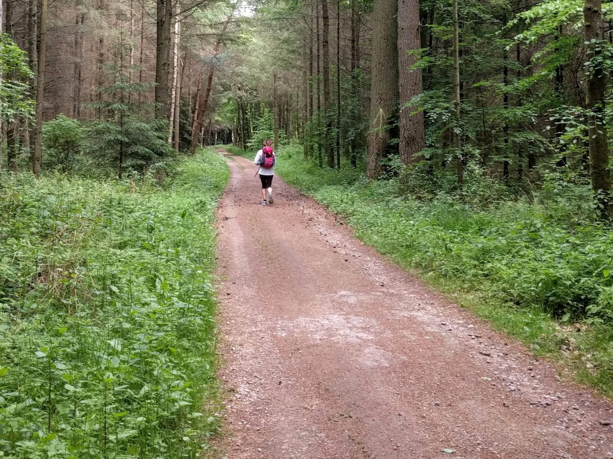 Runner in Forest